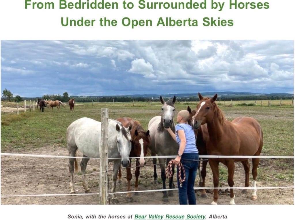 Sonia Bitca with horses